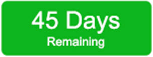 Days Remaining Status